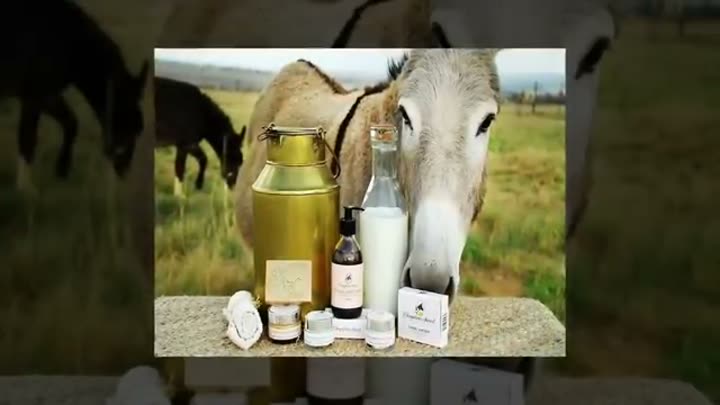 Donkey milk products, a beauty secret from Cleopatra's legendary spa rituals.