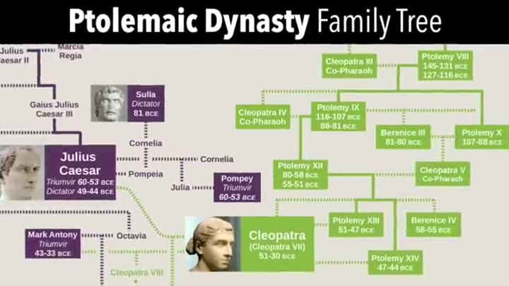 The complex Ptolemaic Dynasty family tree, highlighting Cleopatra's royal lineage.
